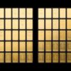 UnityBar 50 x 1,0 g Heimerle+Meule Neuware